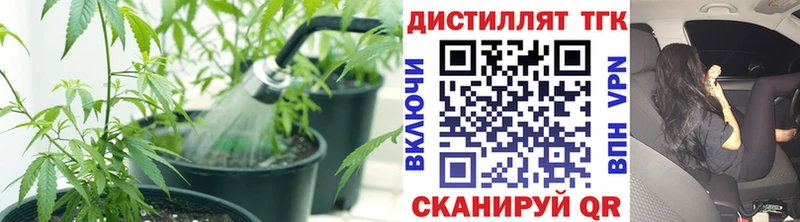 ТГК гашишное масло  Рассказово 