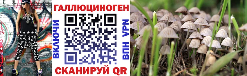 Псилоцибиновые грибы Cubensis  купить закладку  Рассказово 